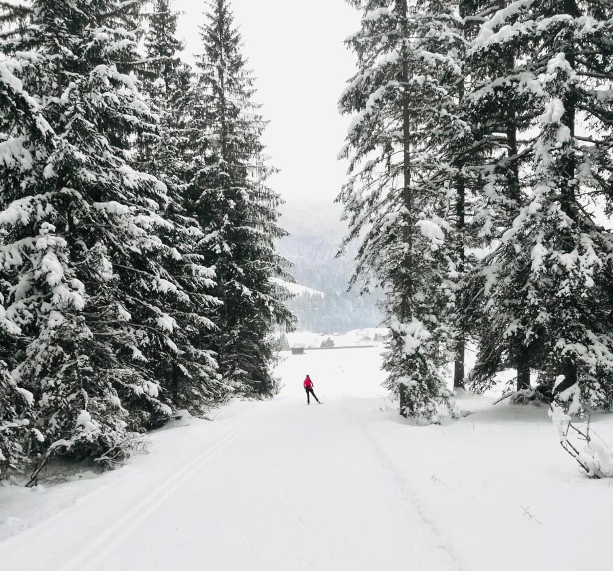 Affittacamere Obersdorfer Hof Bad Mitterndorf Esterno foto